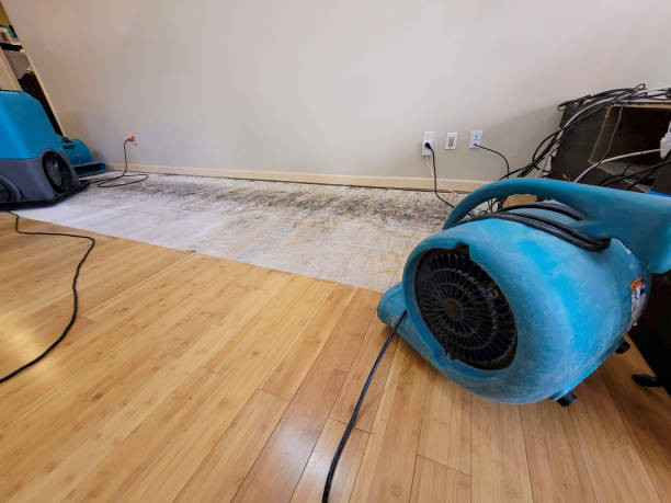 Professional Emergency Water Damage technician working in Ellsworth, KS
